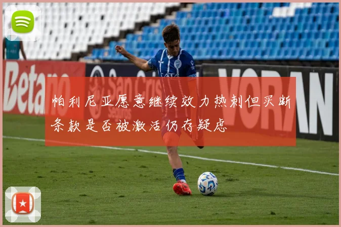 帕利尼亚愿意继续效力热刺但买断条款是否被激活仍存疑虑
