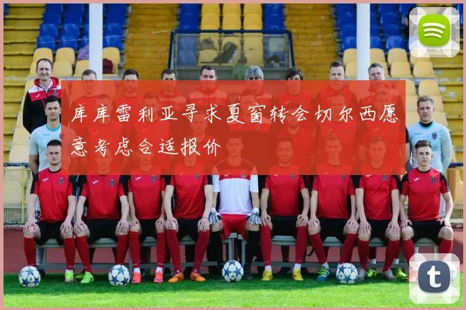 库库雷利亚寻求夏窗转会切尔西愿意考虑合适报价