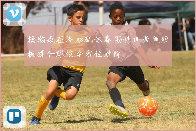 杨瀚森在洛杉矶休赛期特训聚焦短板提升球技全方位进阶